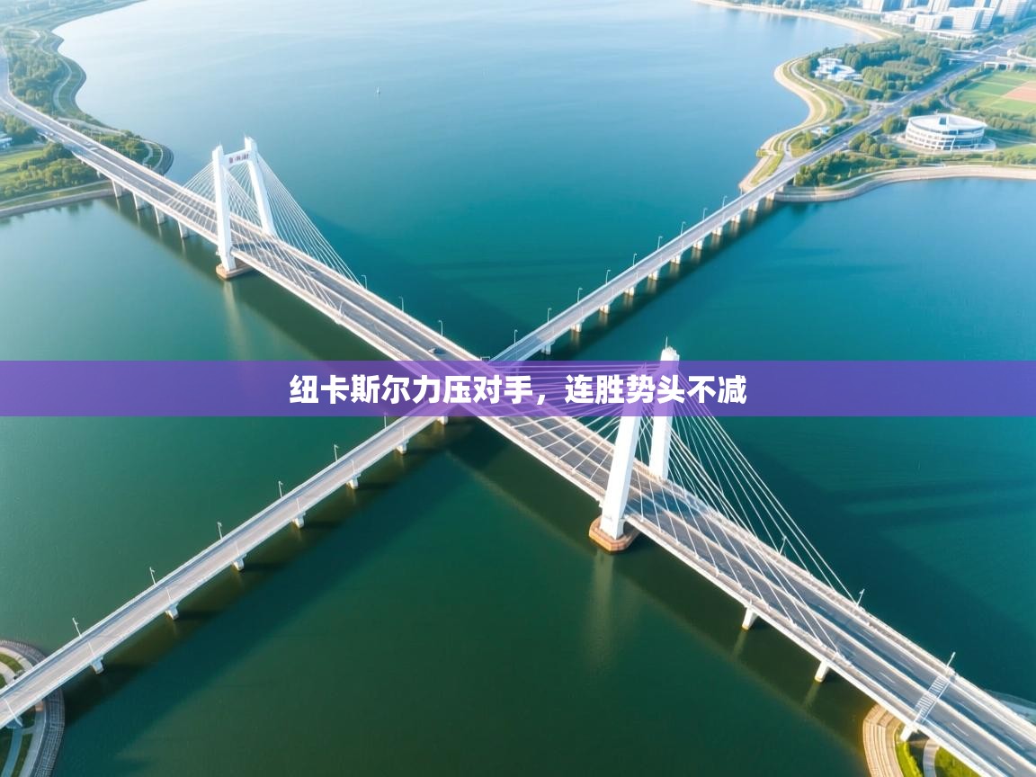 纽卡斯尔力压对手，连胜势头不减