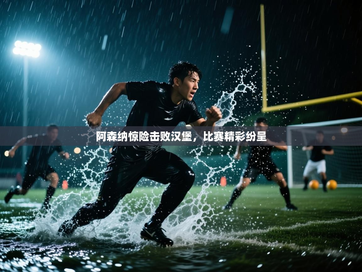 阿森纳惊险击败汉堡,比赛精彩纷呈 第1张