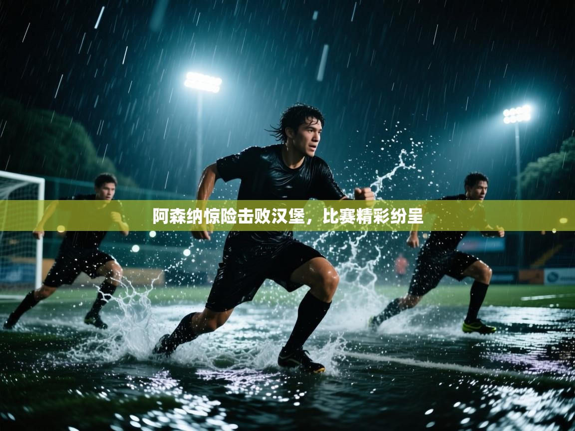 阿森纳惊险击败汉堡,比赛精彩纷呈 第2张