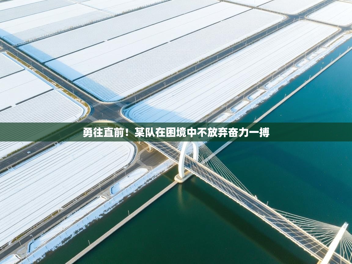 勇往直前！某队在困境中不放弃奋力一搏  第1张