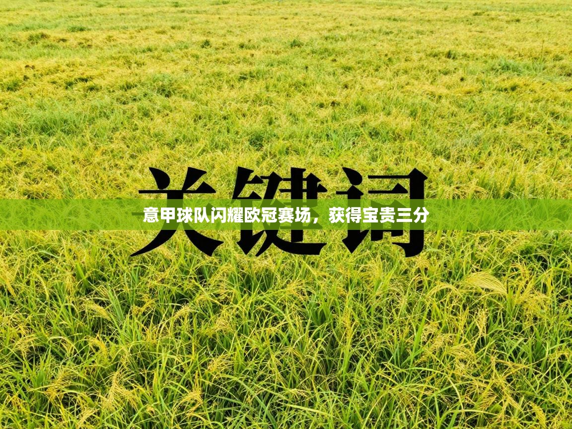 意甲球队闪耀欧冠赛场，获得宝贵三分