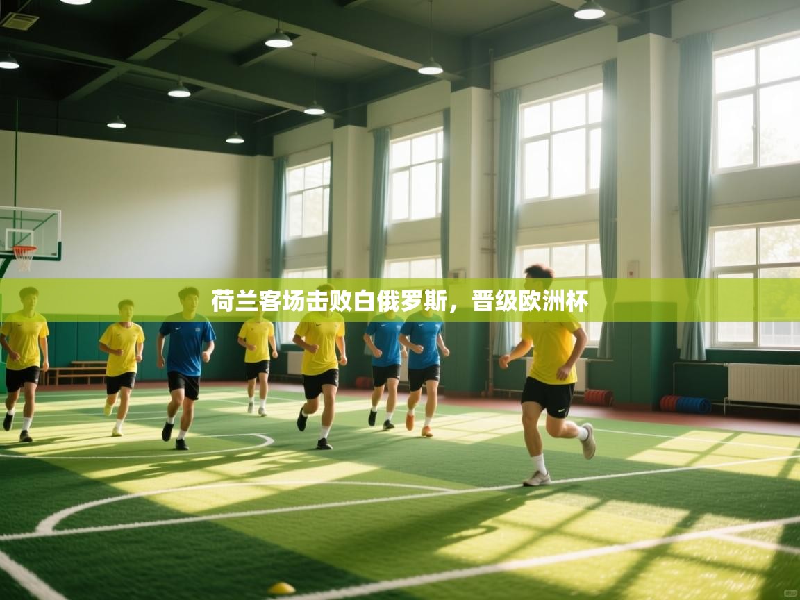 荷兰客场击败白俄罗斯，晋级欧洲杯  第1张