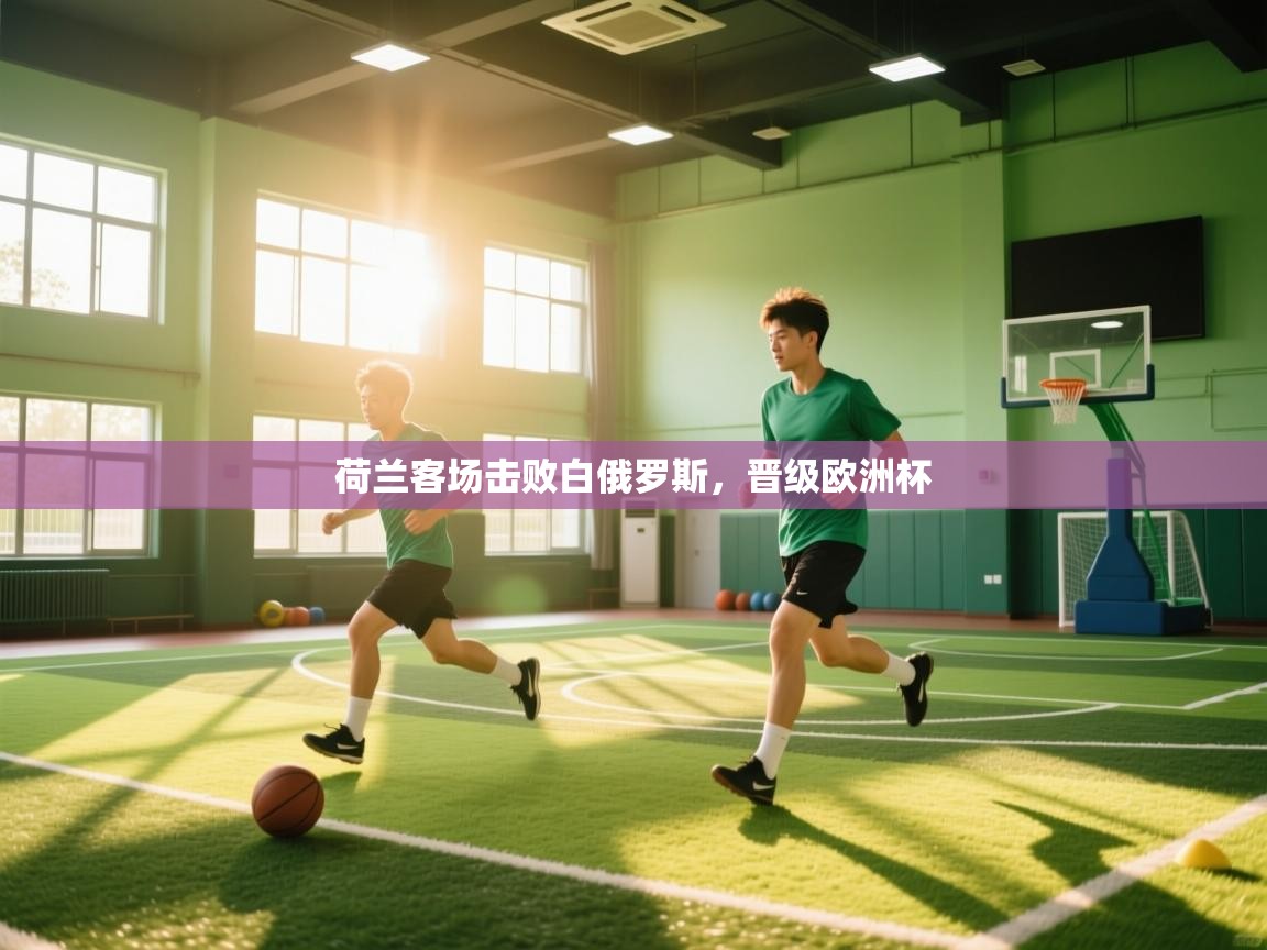 荷兰客场击败白俄罗斯，晋级欧洲杯  第2张