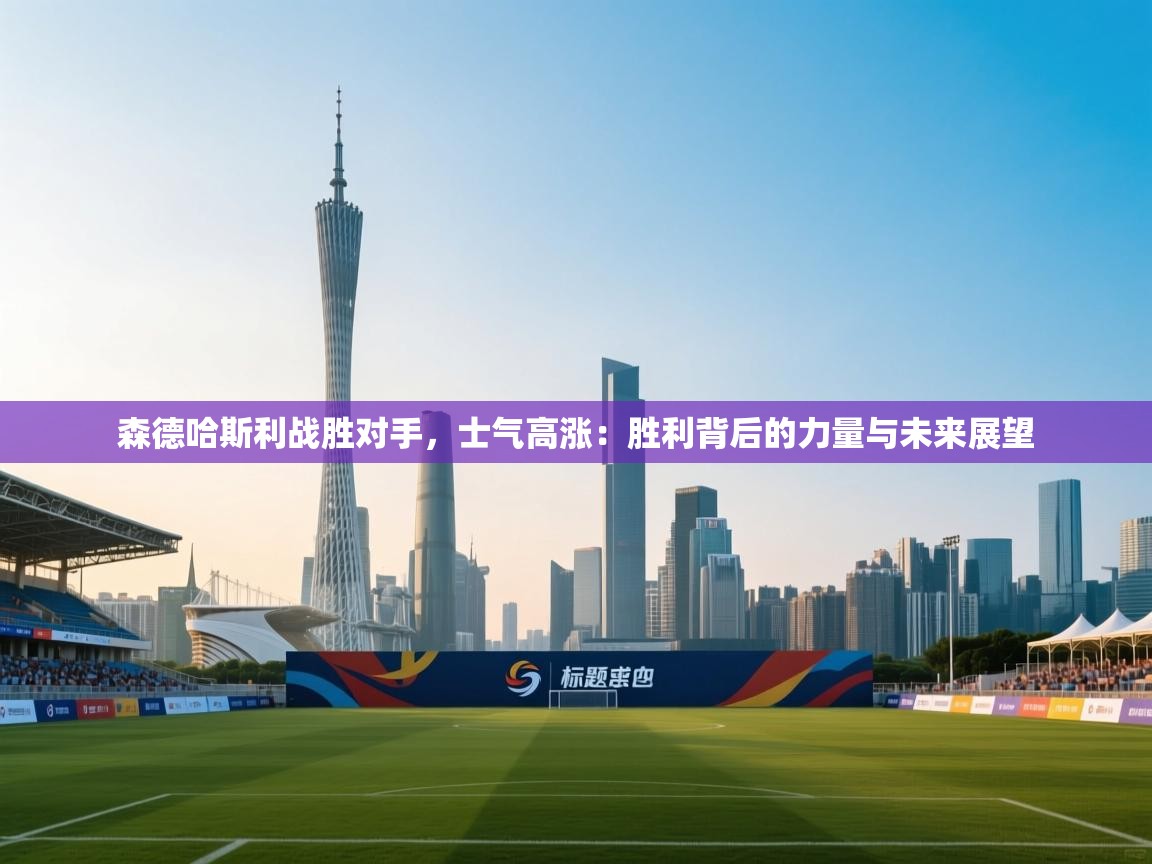 森德哈斯利战胜对手，士气高涨：胜利背后的力量与未来展望  第2张