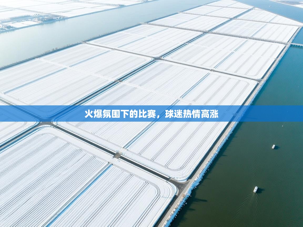 火爆氛围下的比赛，球迷热情高涨  第1张